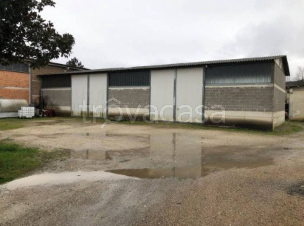 immagine annuncio 5 di 12