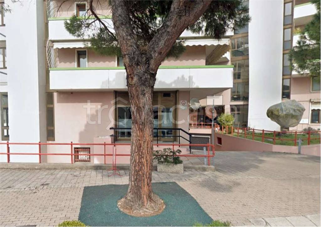 immagine annuncio 9 di 12