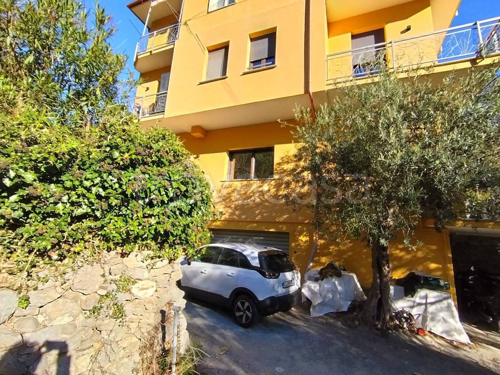 immagine annuncio 2 di 14