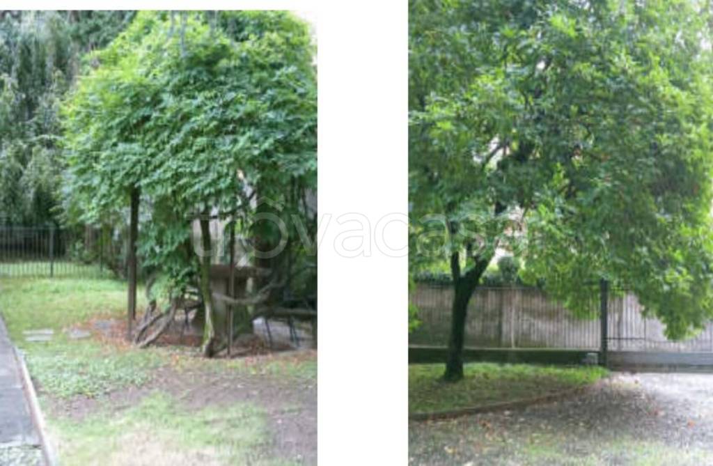 immagine annuncio 6 di 11