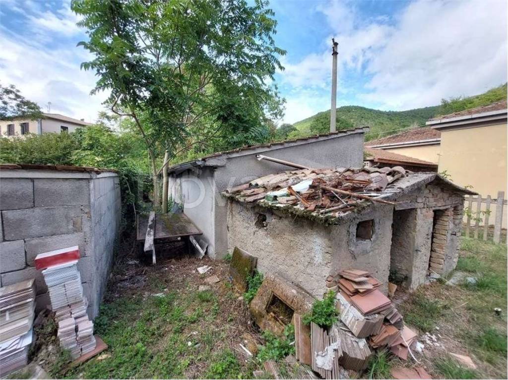 immagine annuncio 7 di 14