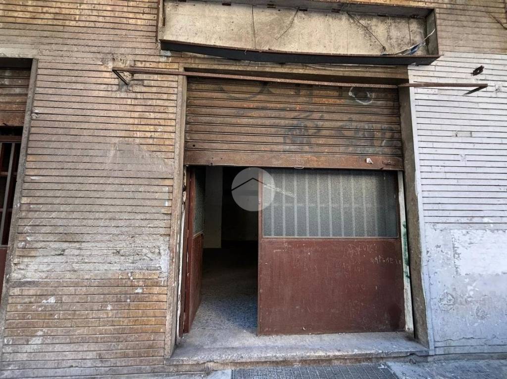 immagine annuncio 8 di 14