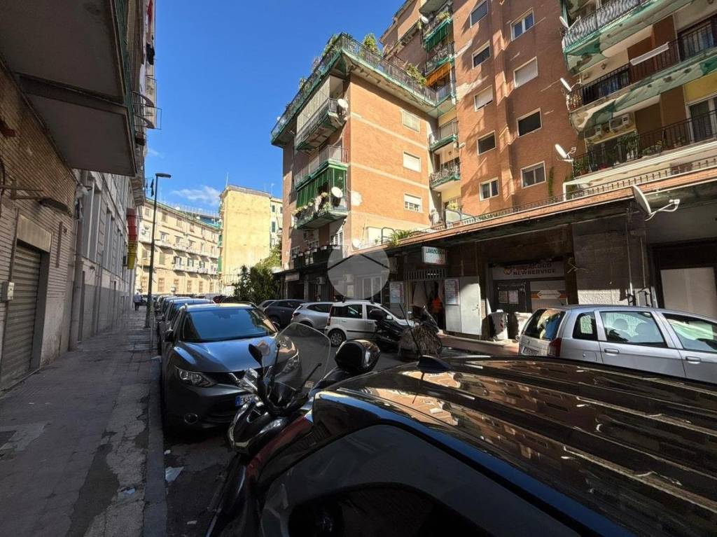 immagine annuncio 9 di 14