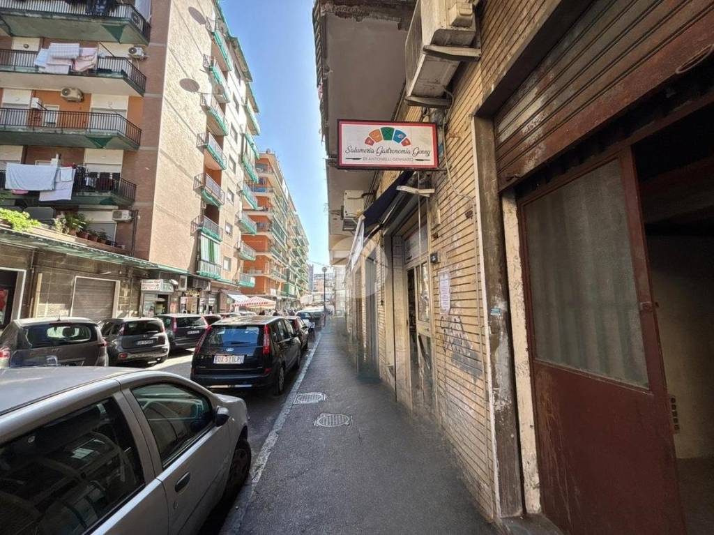 immagine annuncio 12 di 14