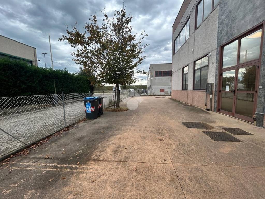 immagine annuncio 9 di 12