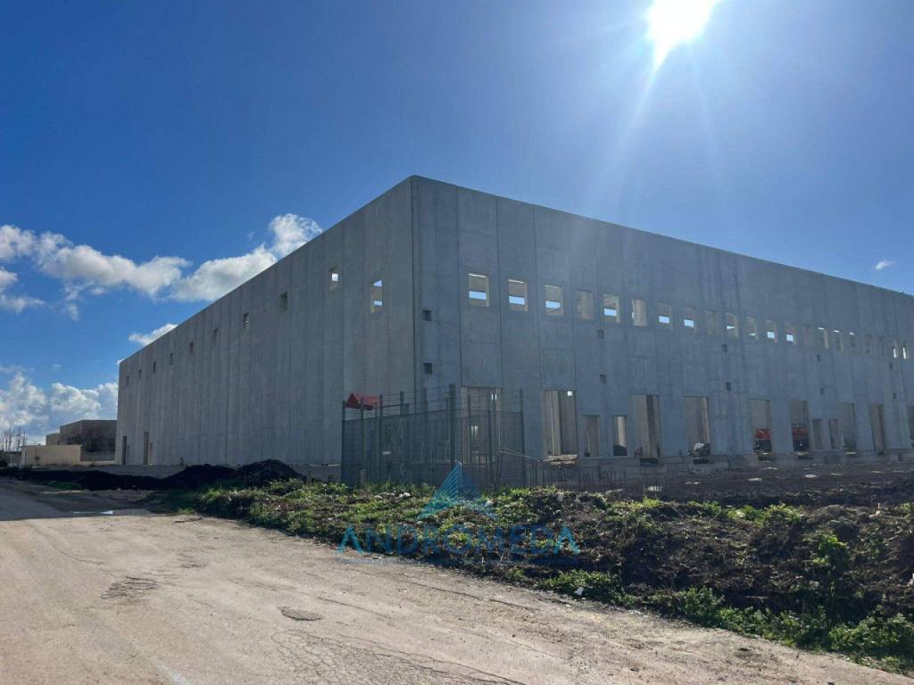 immagine annuncio 1 di 6