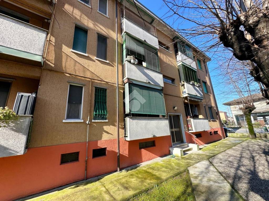 immagine annuncio 13 di 14