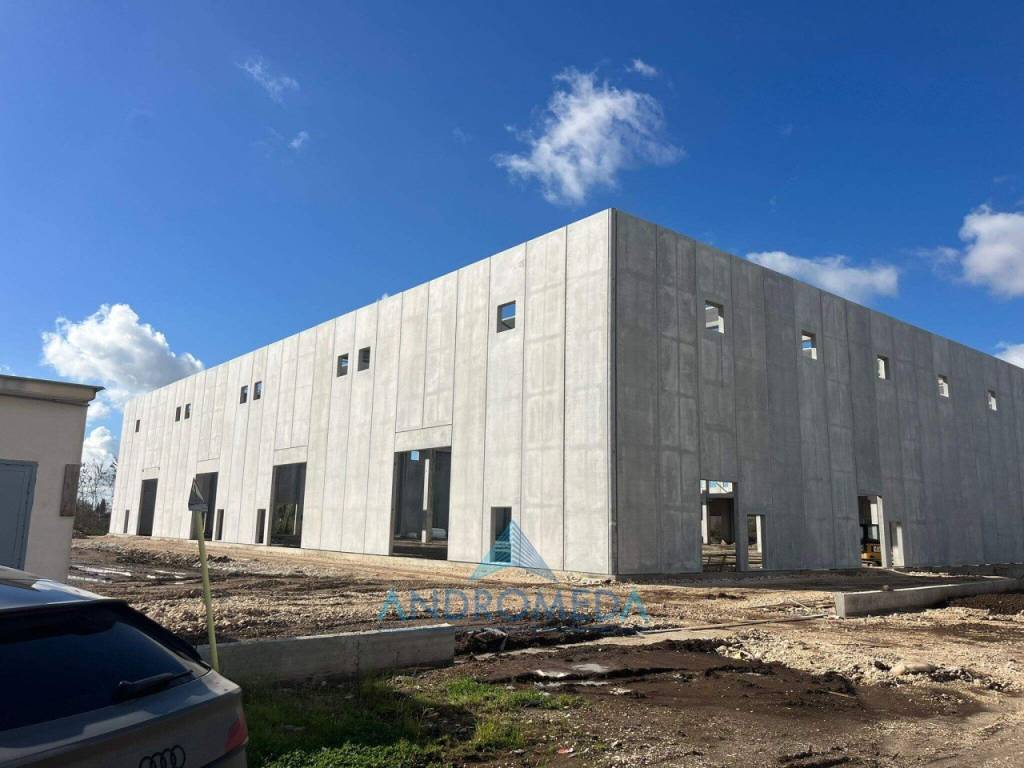 immagine annuncio 1 di 6