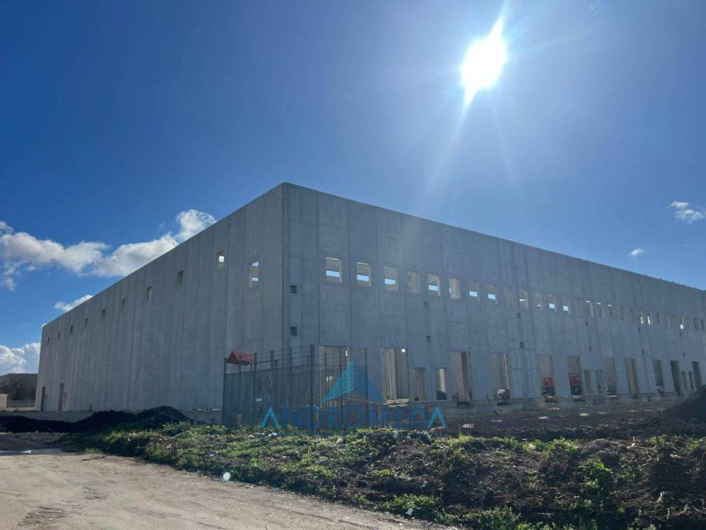 immagine annuncio 2 di 6