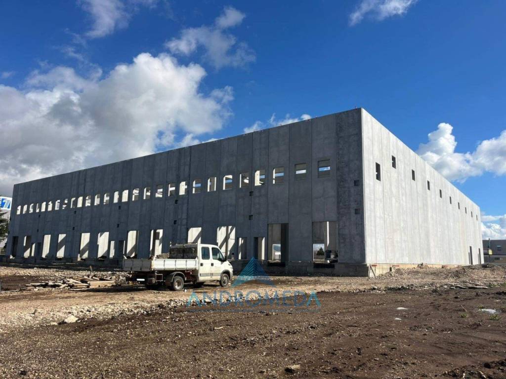 immagine annuncio 5 di 6