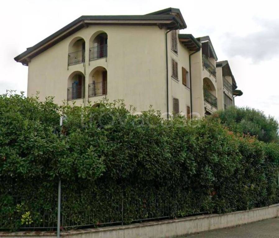 immagine annuncio 9 di 11