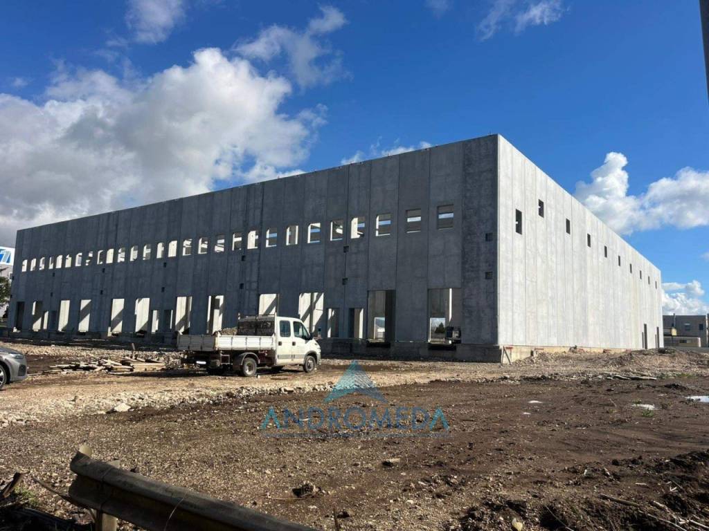 immagine annuncio 3 di 8