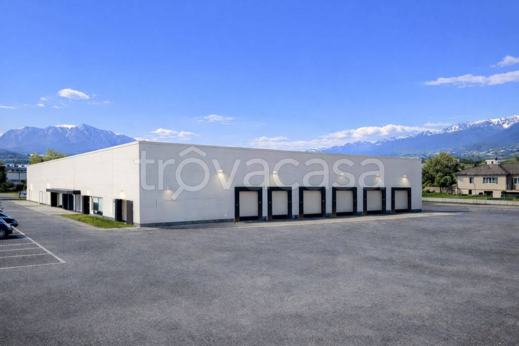 immagine annuncio 3 di 6