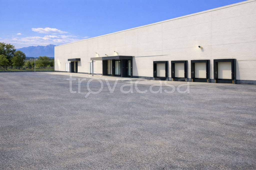 immagine annuncio 5 di 6