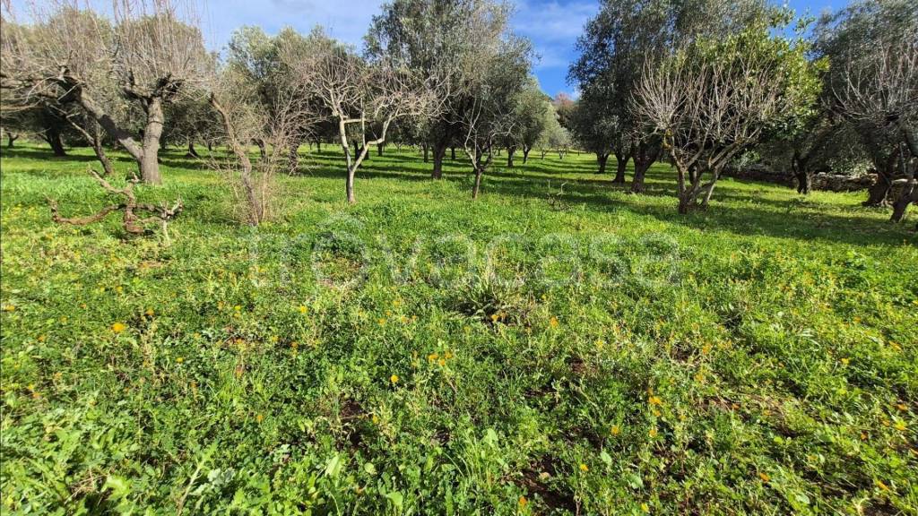 immagine annuncio 6 di 12