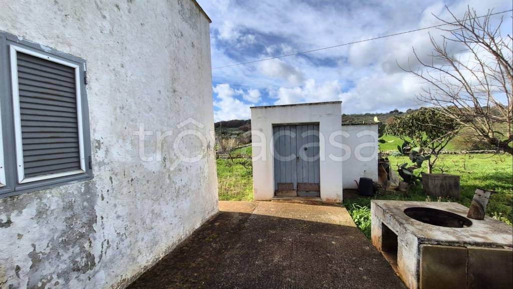 immagine annuncio 8 di 12