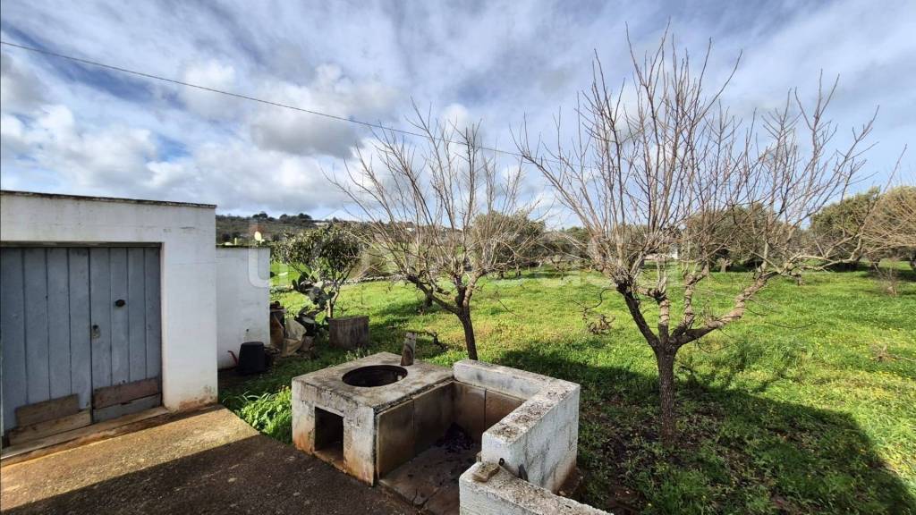 immagine annuncio 10 di 12