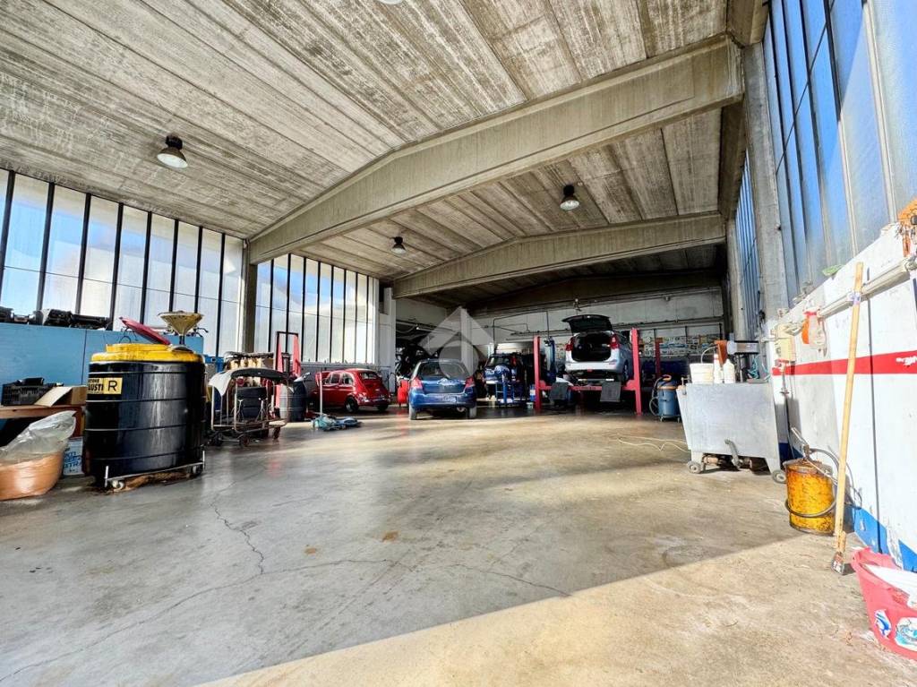 immagine annuncio 3 di 8