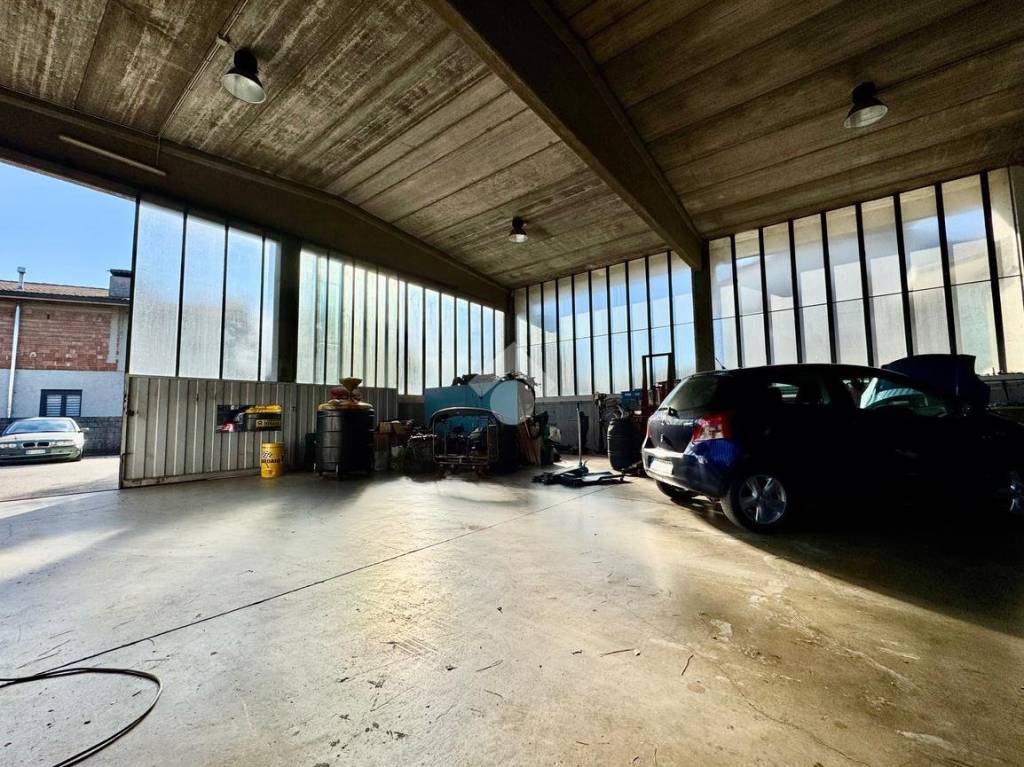 immagine annuncio 4 di 8