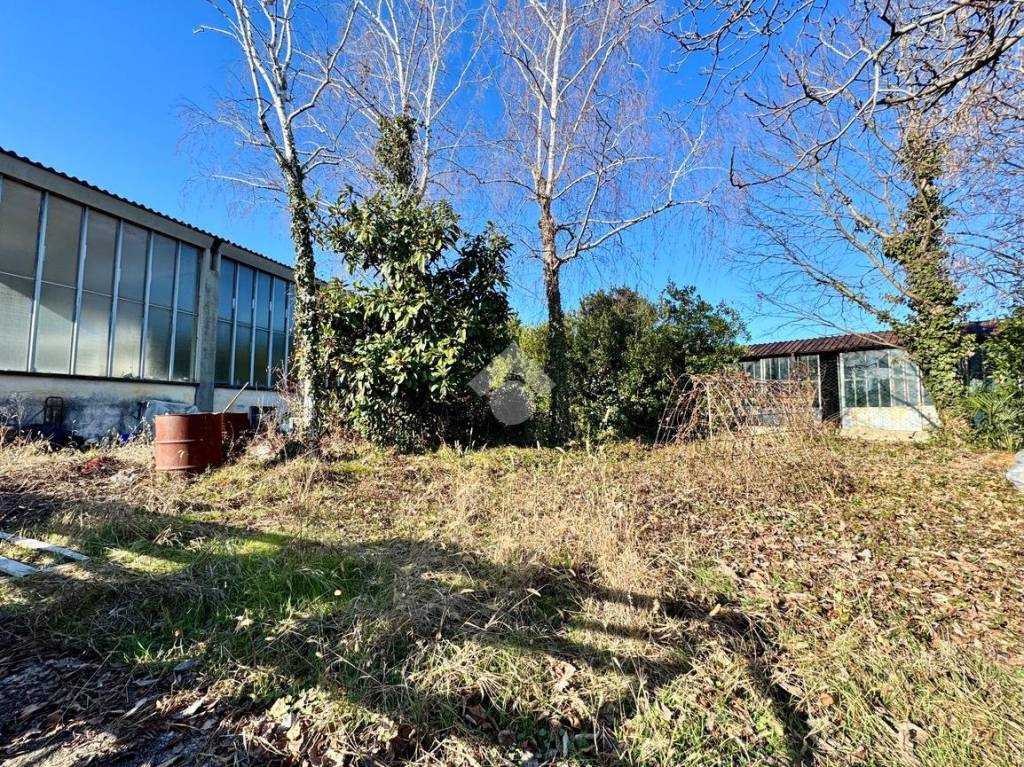 immagine annuncio 7 di 8