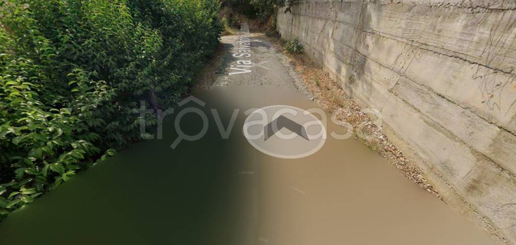 immagine annuncio 9 di 12