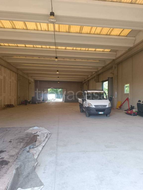 immagine annuncio 5 di 13