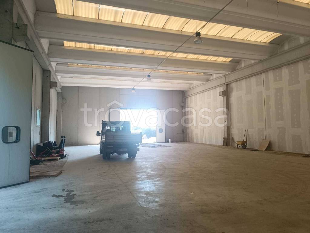 immagine annuncio 6 di 13