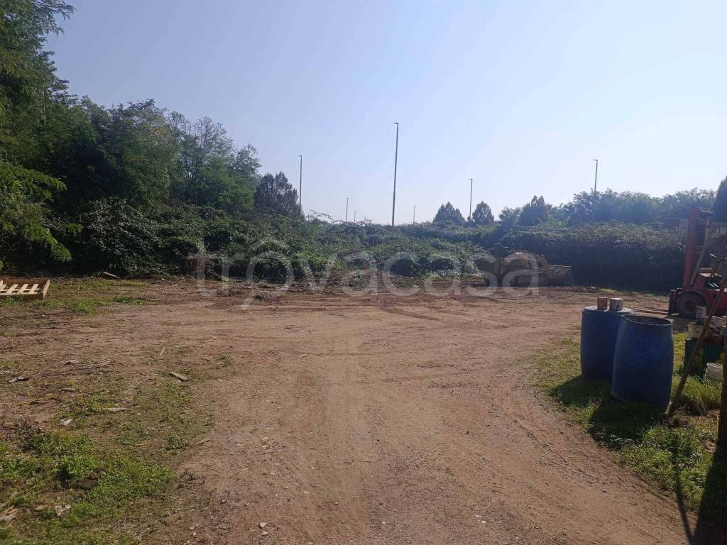 immagine annuncio 7 di 13