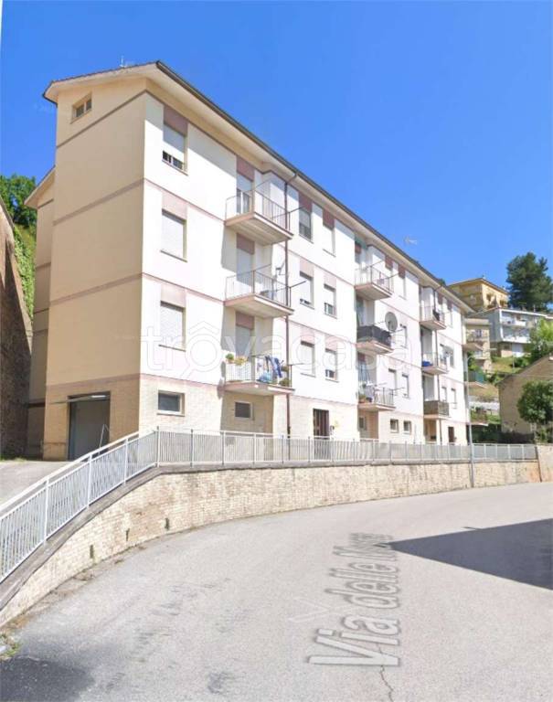 immagine annuncio 5 di 13