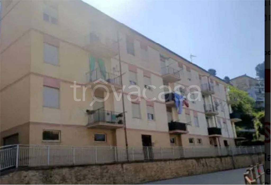 immagine annuncio 11 di 13