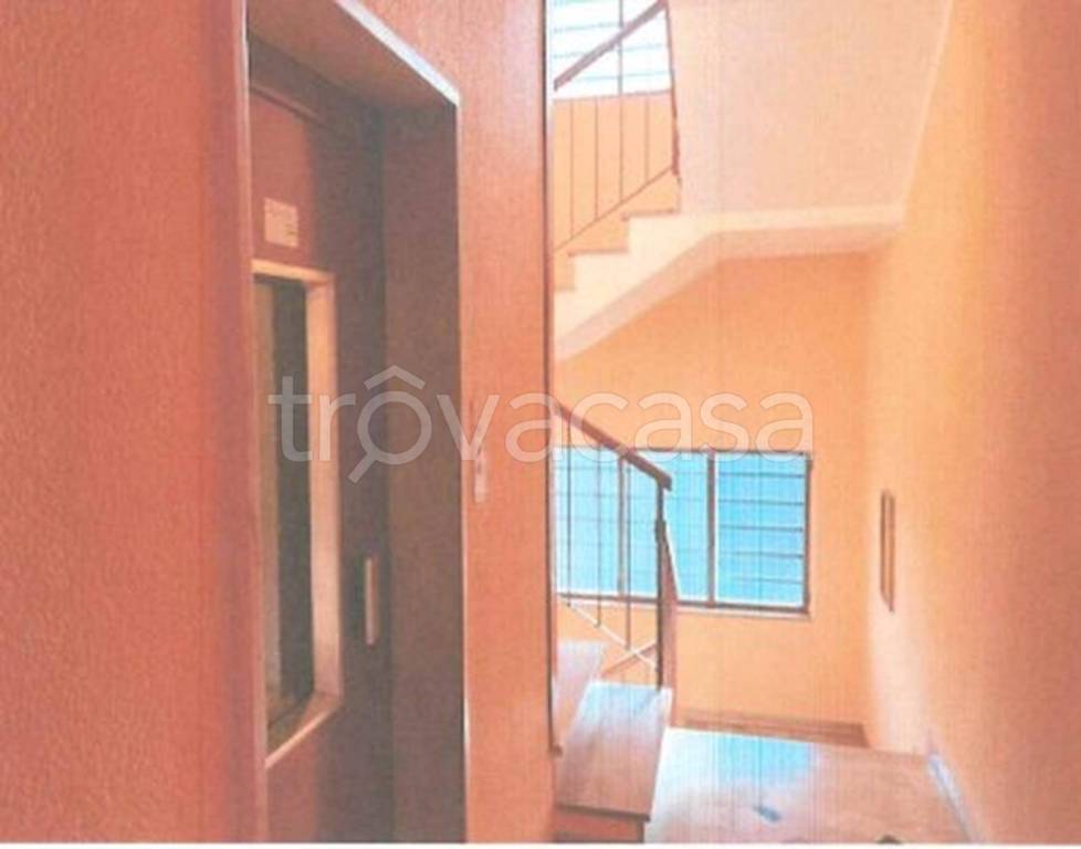 immagine annuncio 6 di 14