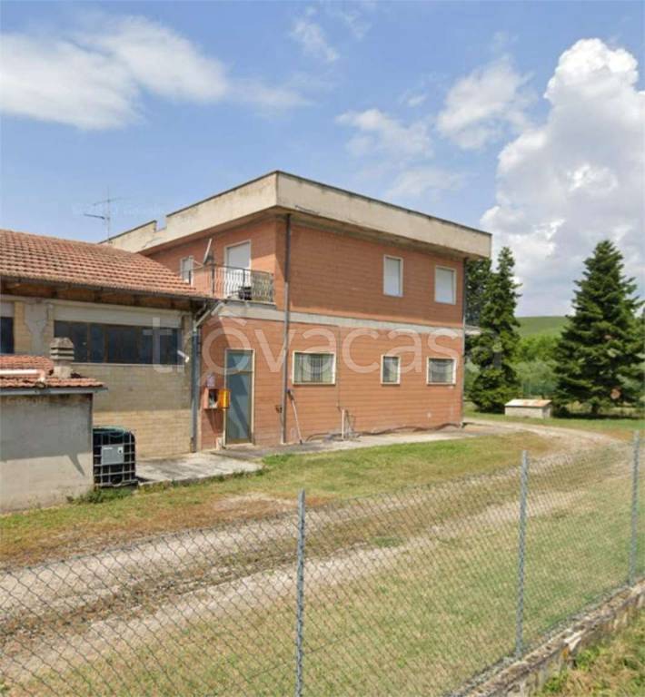 immagine annuncio 5 di 13