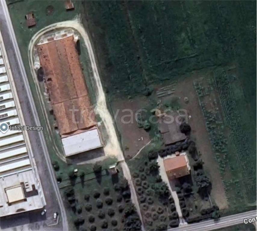 immagine annuncio 12 di 13