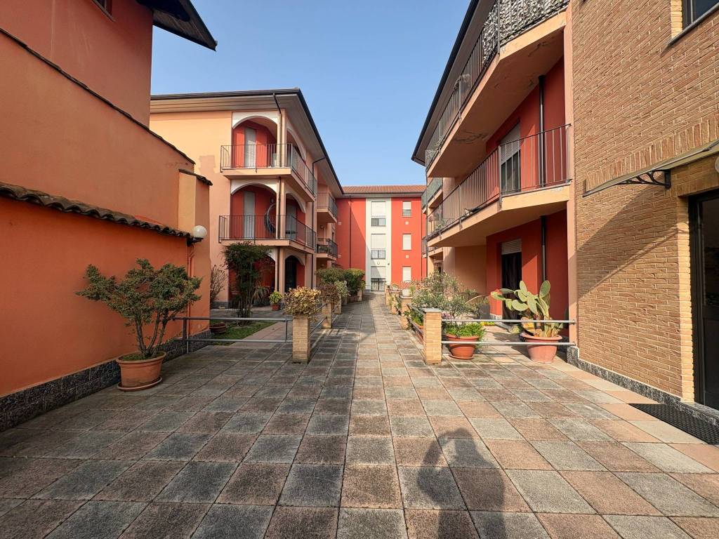 immagine annuncio 1 di 15