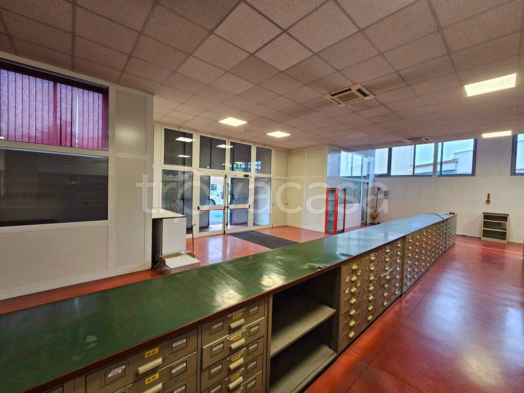 immagine annuncio 9 di 15