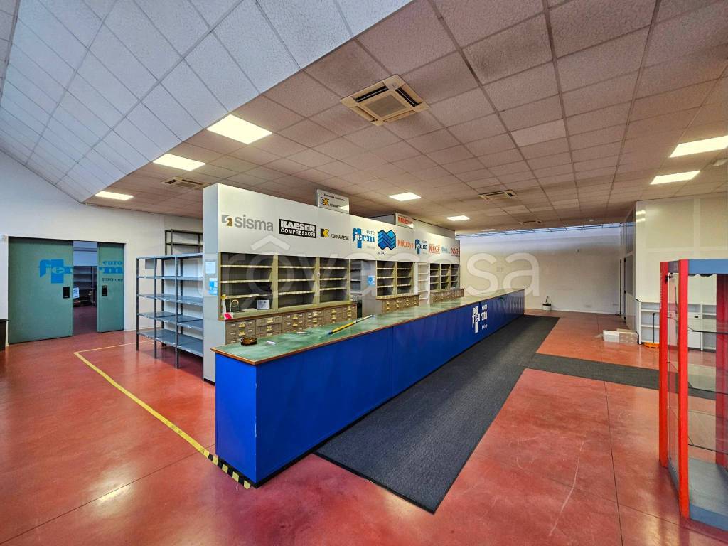 immagine annuncio 10 di 15