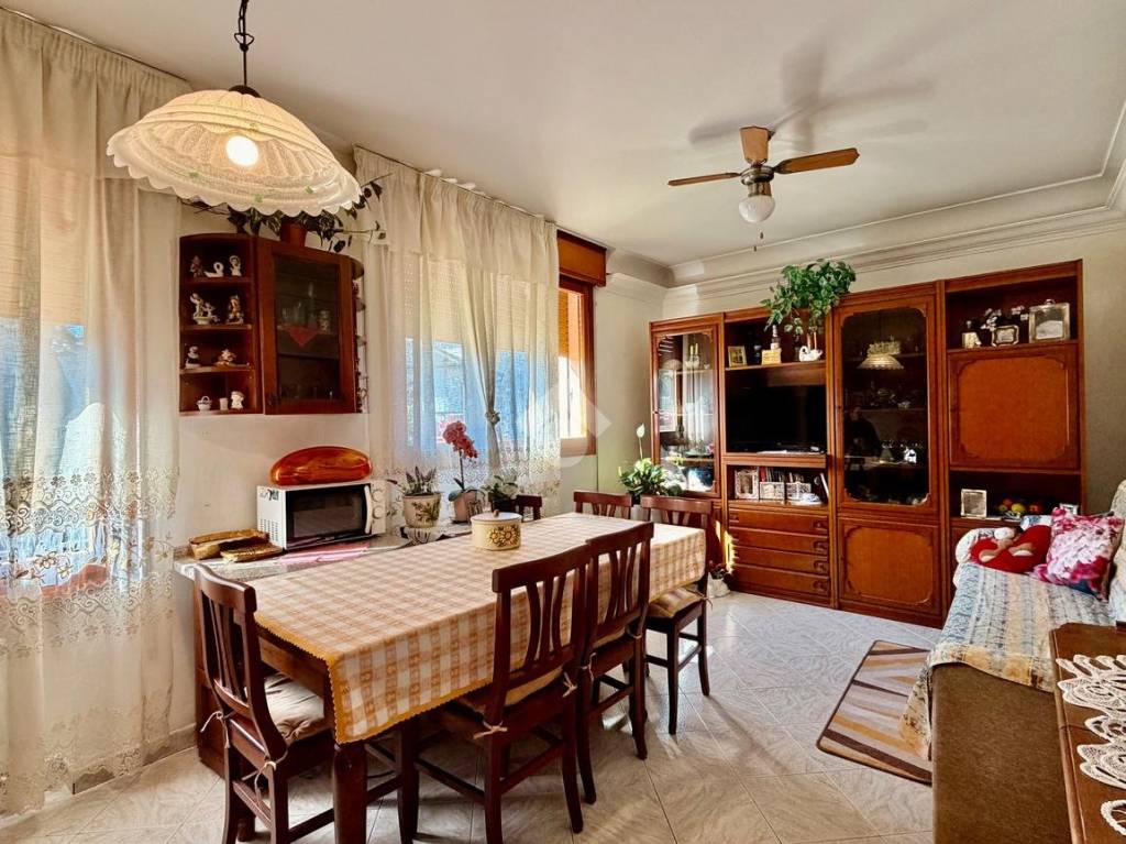 immagine annuncio 3 di 14