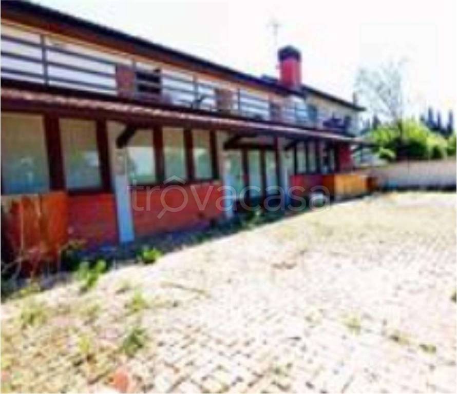 immagine annuncio 5 di 12