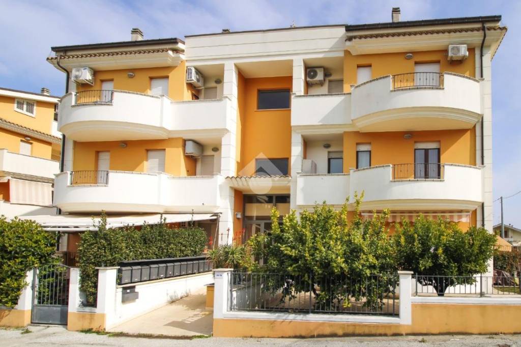 immagine annuncio 11 di 12