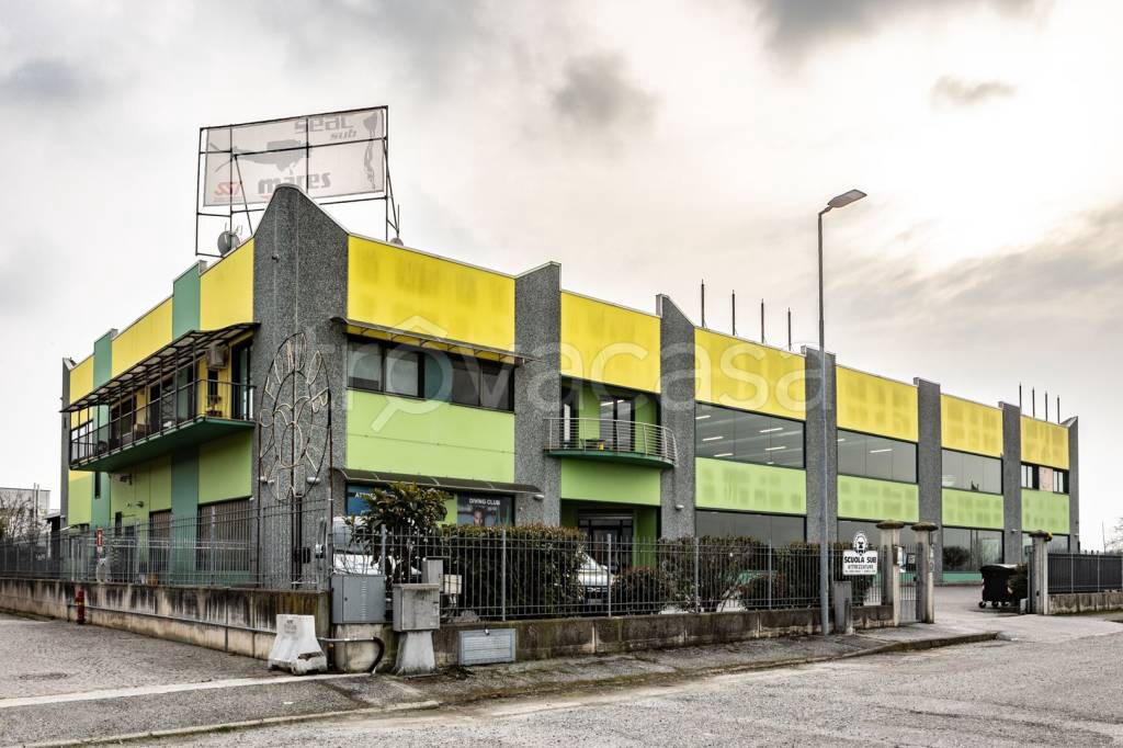 immagine annuncio 2 di 15