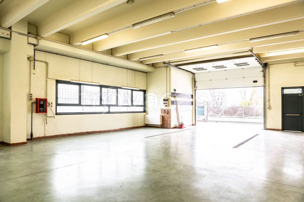 immagine annuncio 7 di 15