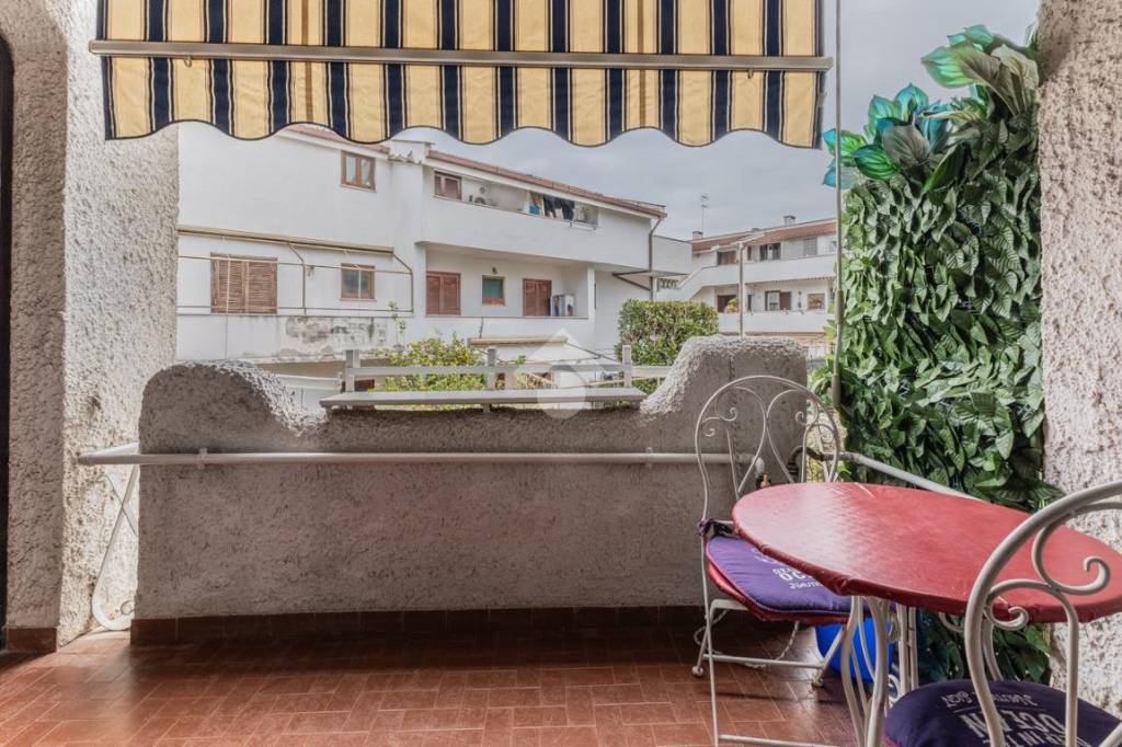 immagine annuncio 12 di 14