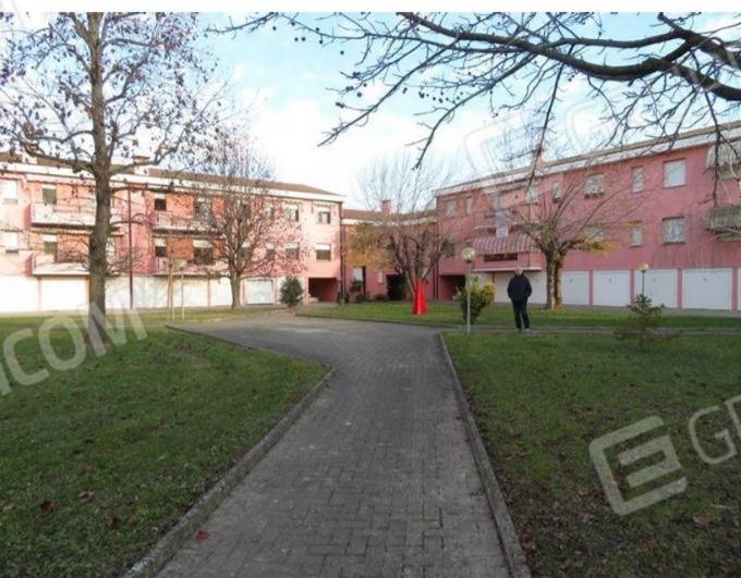 immagine annuncio 3 di 14