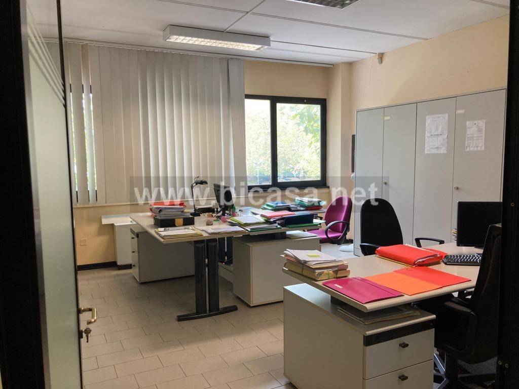 immagine annuncio 3 di 14