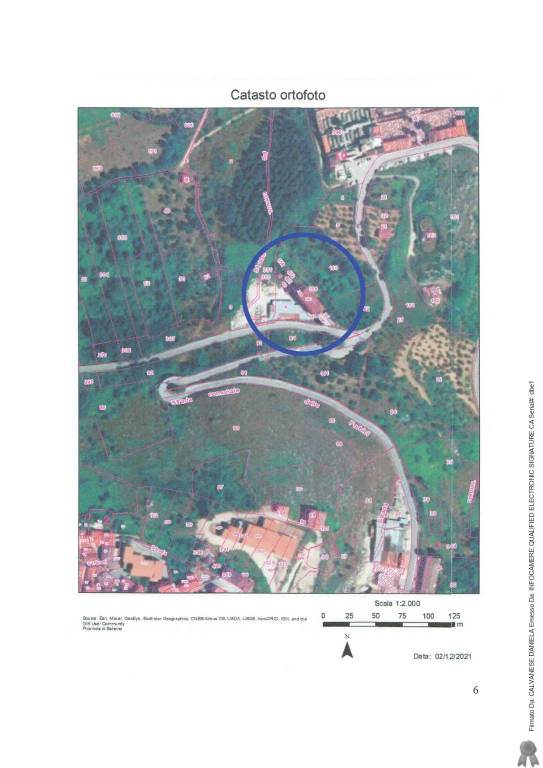 immagine annuncio 5 di 15