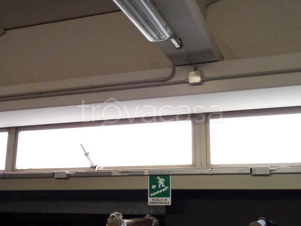 immagine annuncio 2 di 8