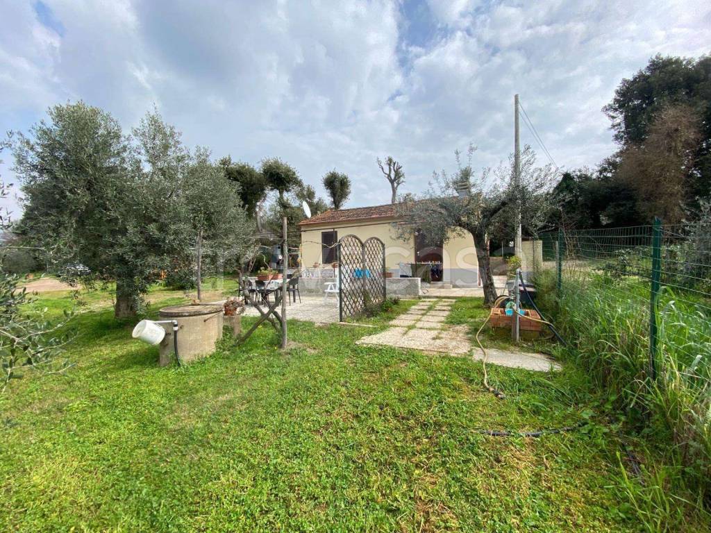 immagine annuncio 9 di 15