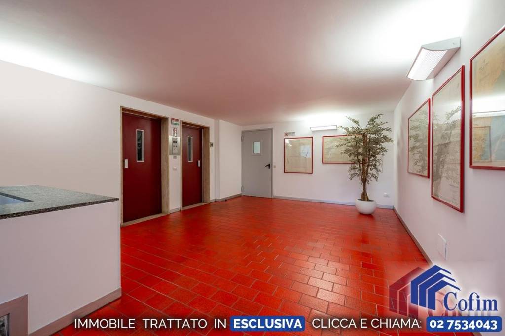 immagine annuncio 11 di 14