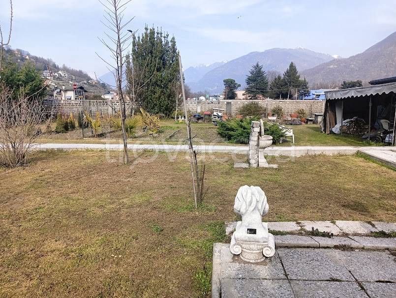 immagine annuncio 11 di 15