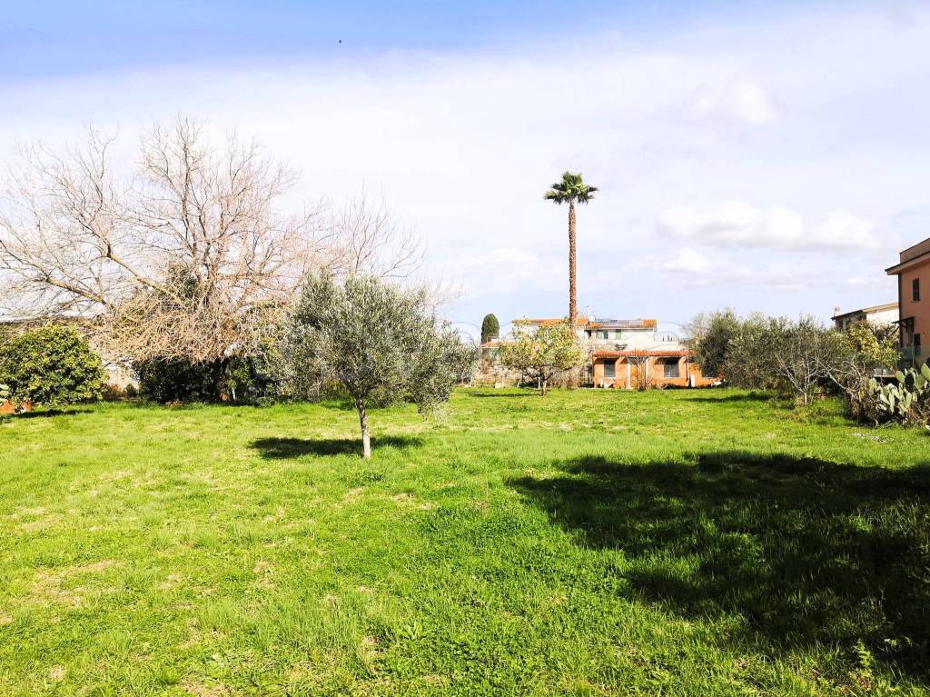 immagine annuncio 1 di 14